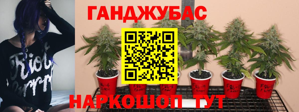 Бошки марихуана Ganja Новоалтайск